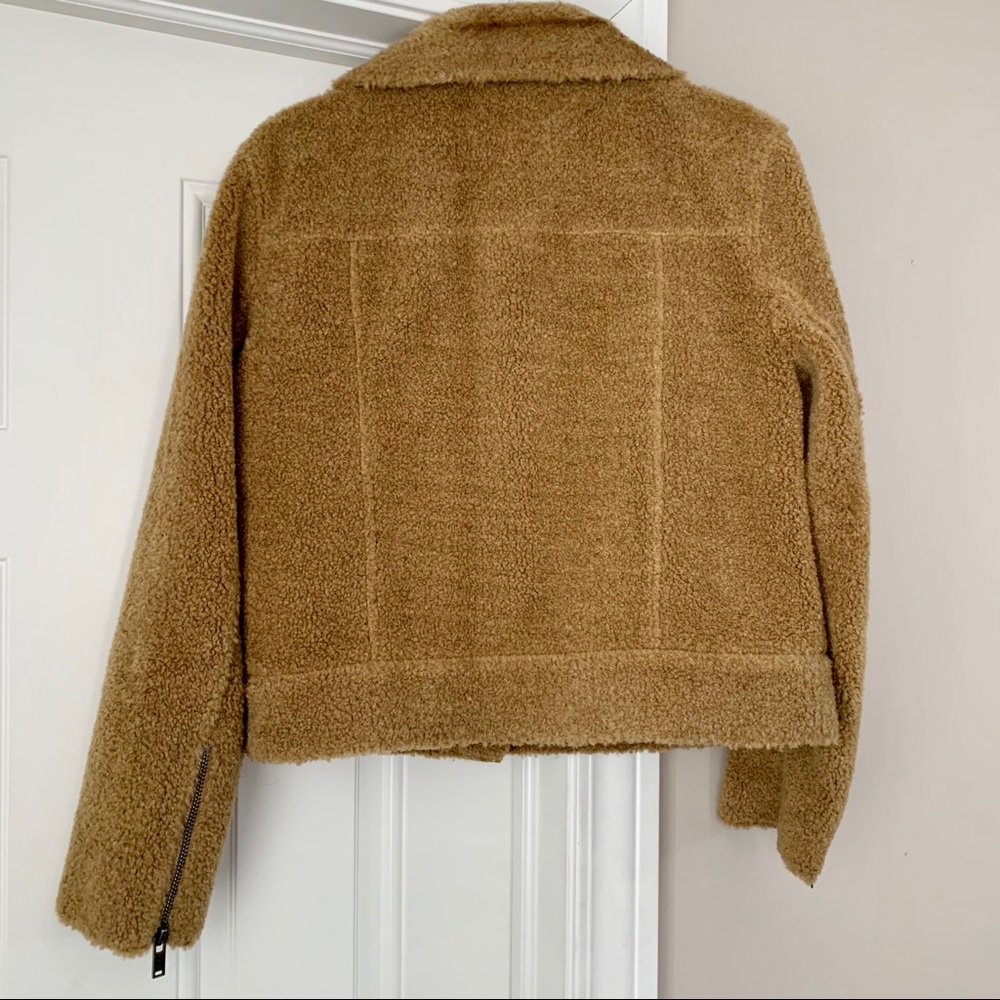 Teddy Moto Jacket - Picture 8 of 9
